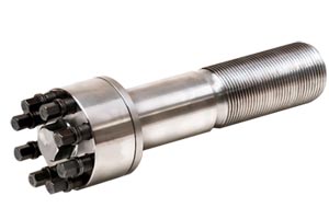 ����ǿ����˨��ĸͼƬ